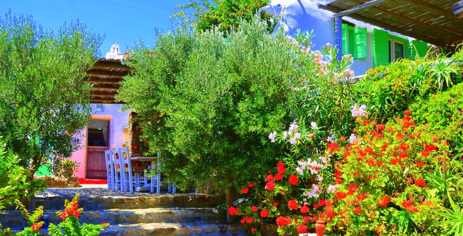 Show dsc 3545 copy 2